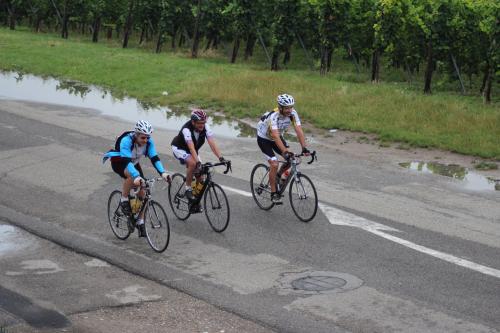 RDT2014route (102)