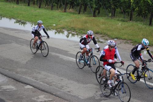 RDT2014route (105)