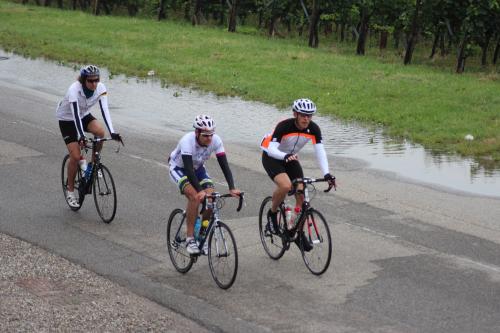 RDT2014route (121)
