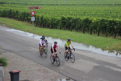 RDT2014route (91)