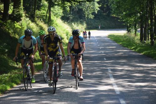 RDT2015route (291)
