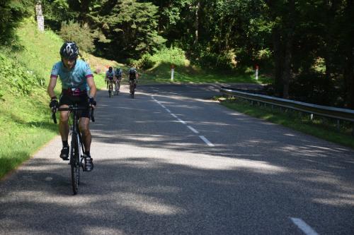 RDT2015route (295)