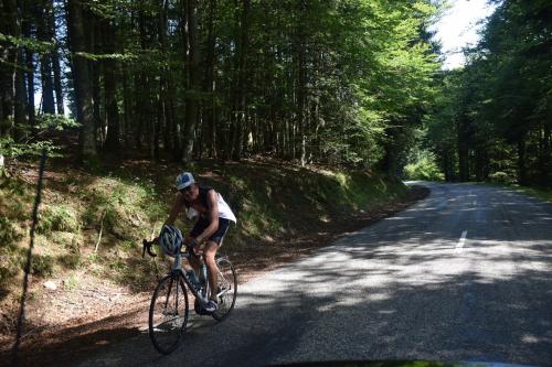 RDT2015route (309)