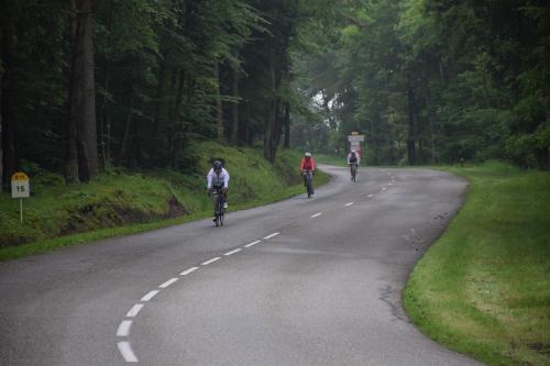 RDT2016route (231)