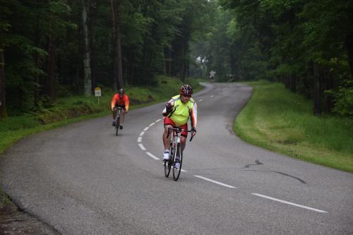 RDT2016route (241)