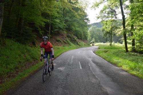 RDT2016route (71)
