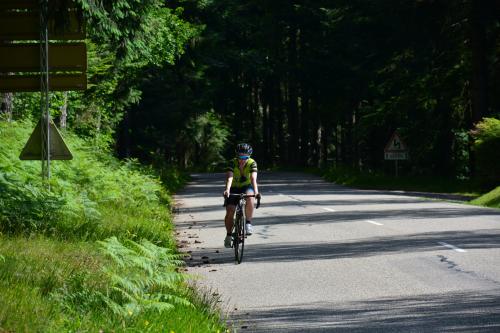RDT2017route (144)