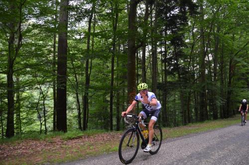 RDT2018route (80)